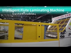 ZGFM с экраном CE